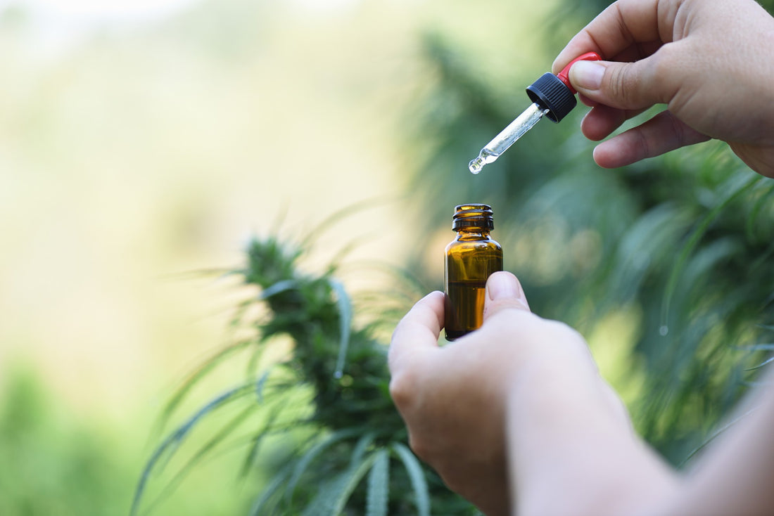 Supplements that Boost Mental Health - Ascendment Mental Health Blog